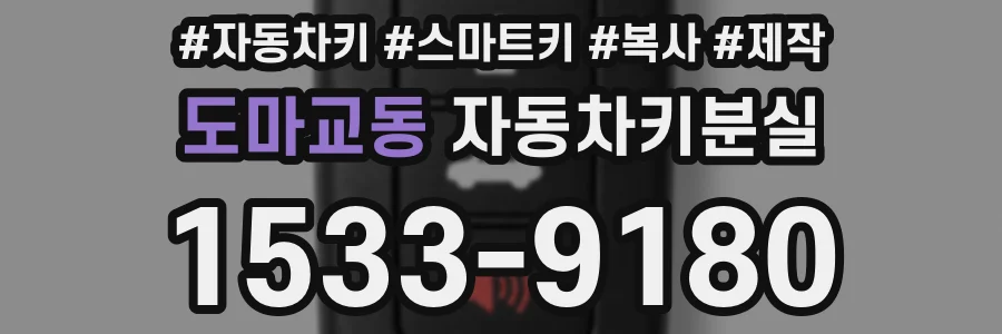 도마교동 자동차키분실