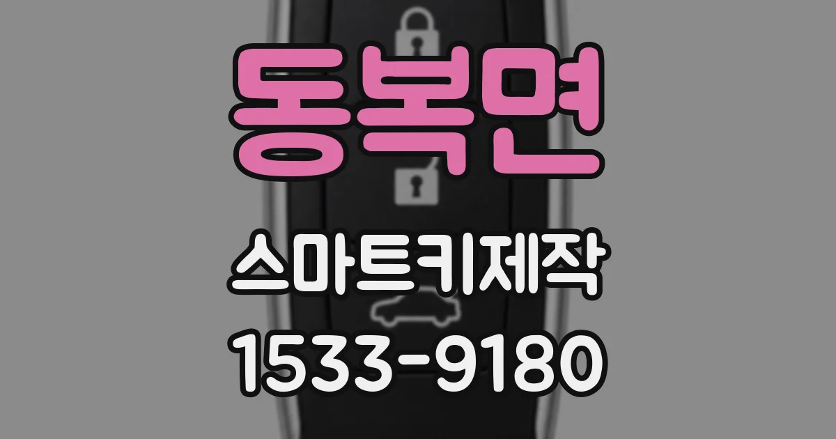 동복면 스마트키제작