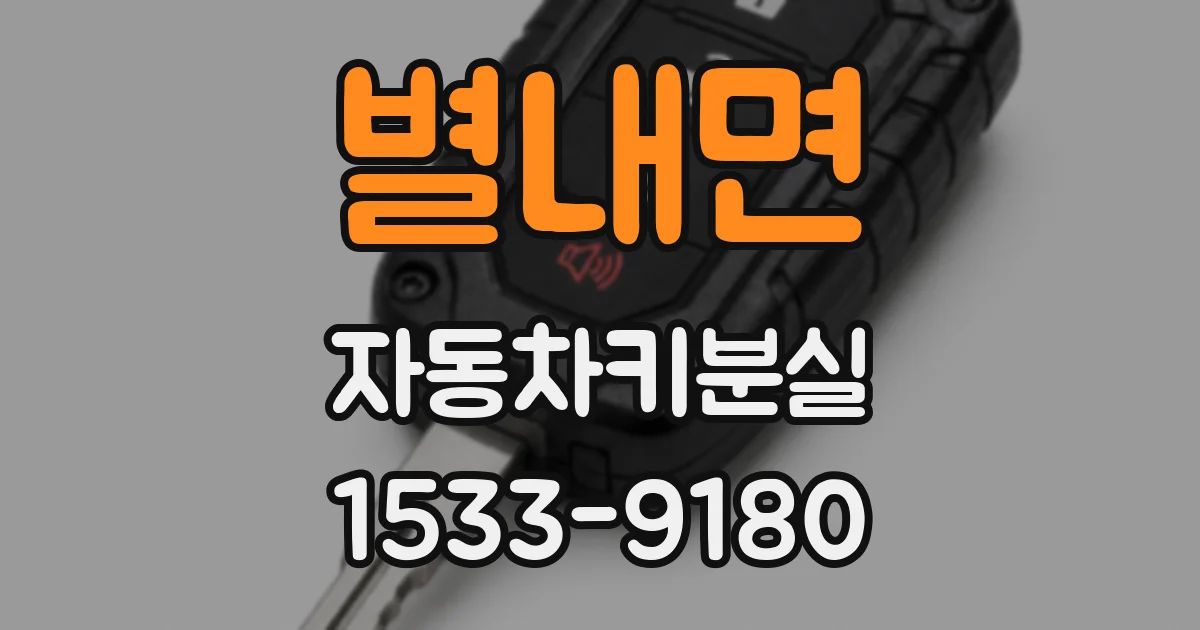 별내면 자동차키분실