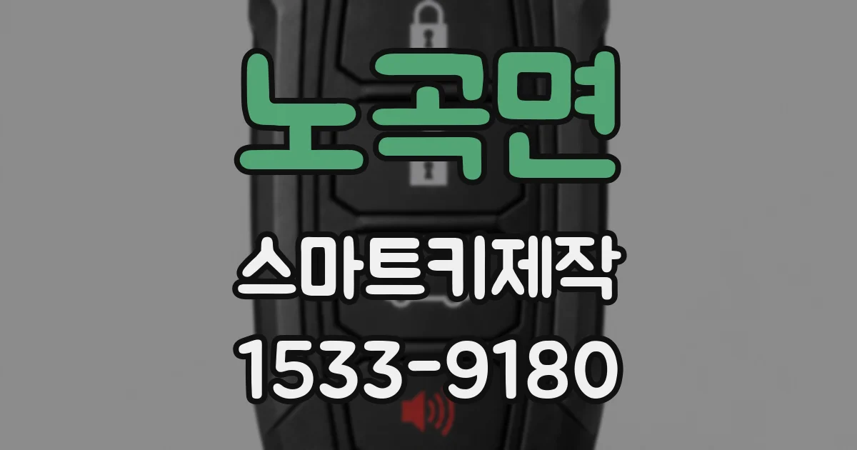 노곡면 스마트키제작