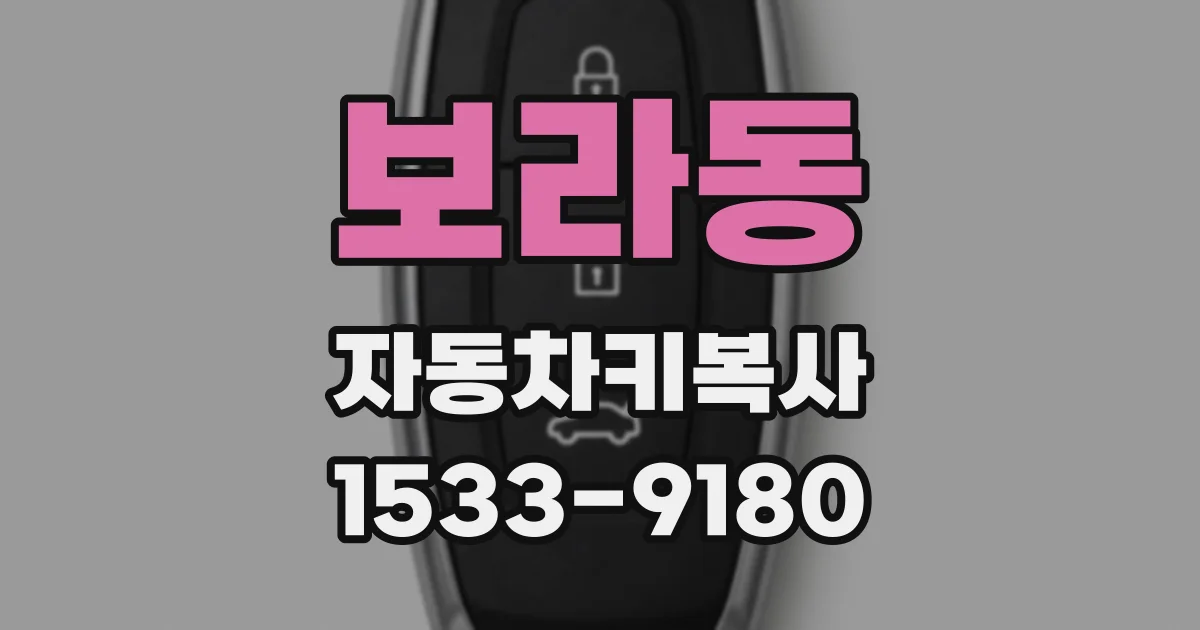 보라동 자동차키복사