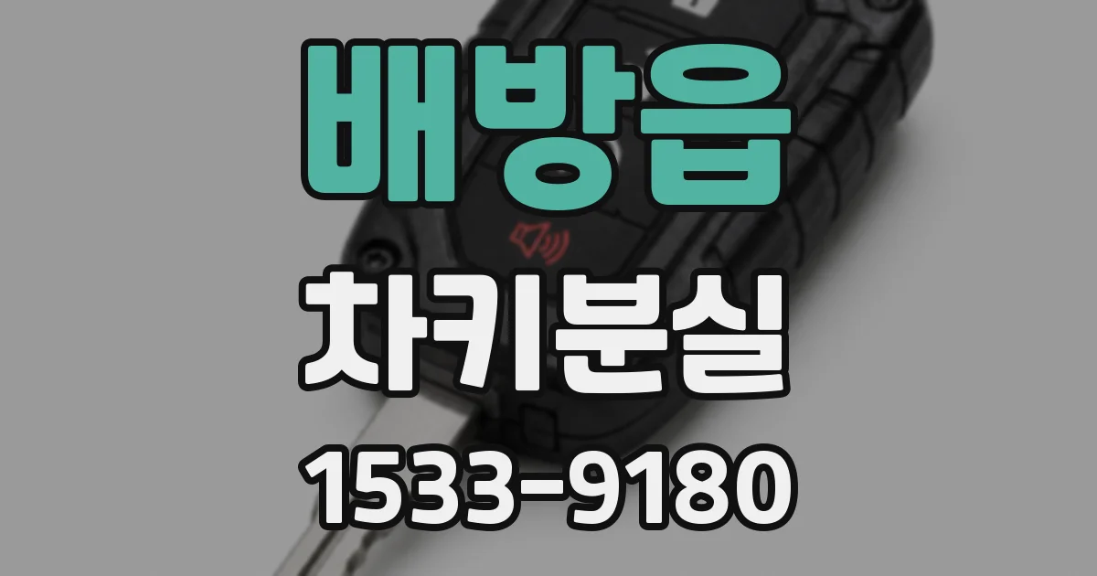 배방읍 차키분실