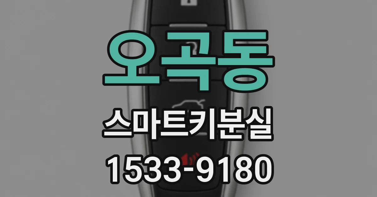 오곡동 스마트키분실