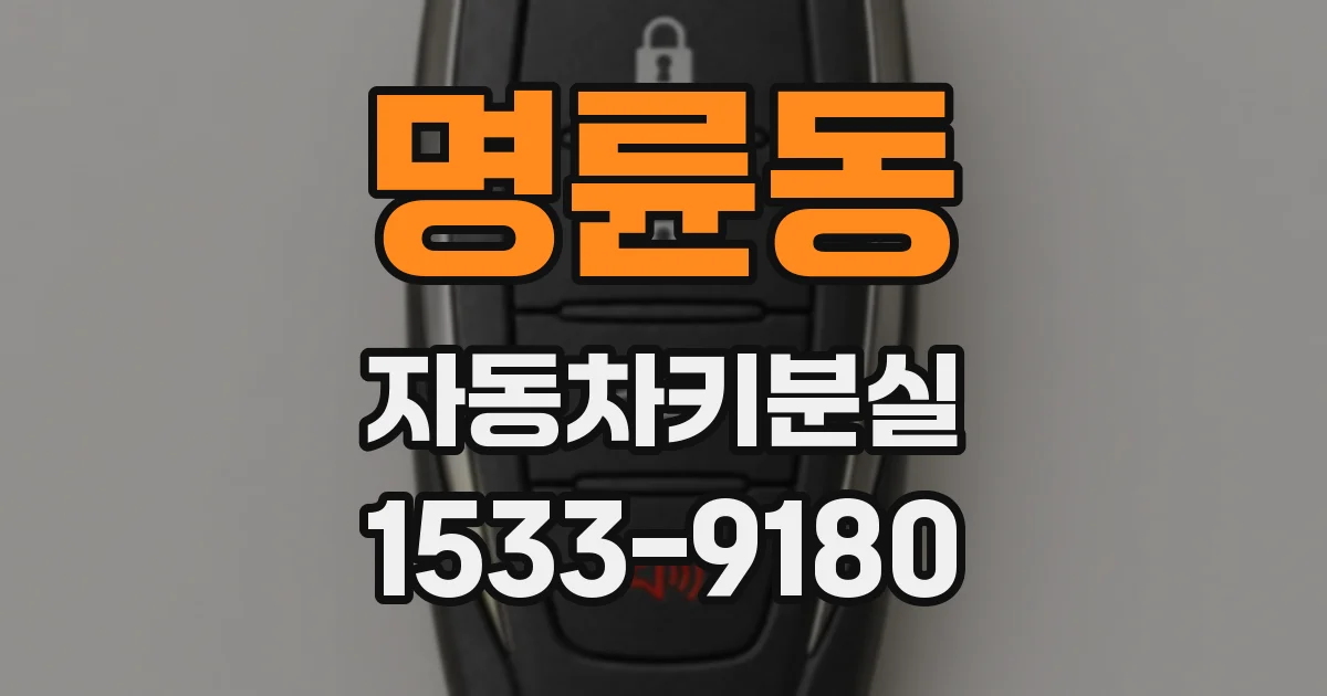 명륜동 자동차키분실