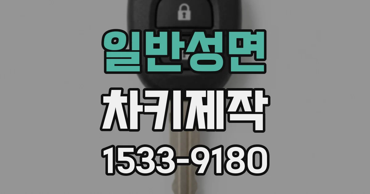 일반성면 차키제작