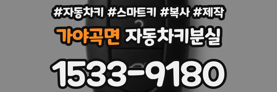 가야곡면 자동차키분실