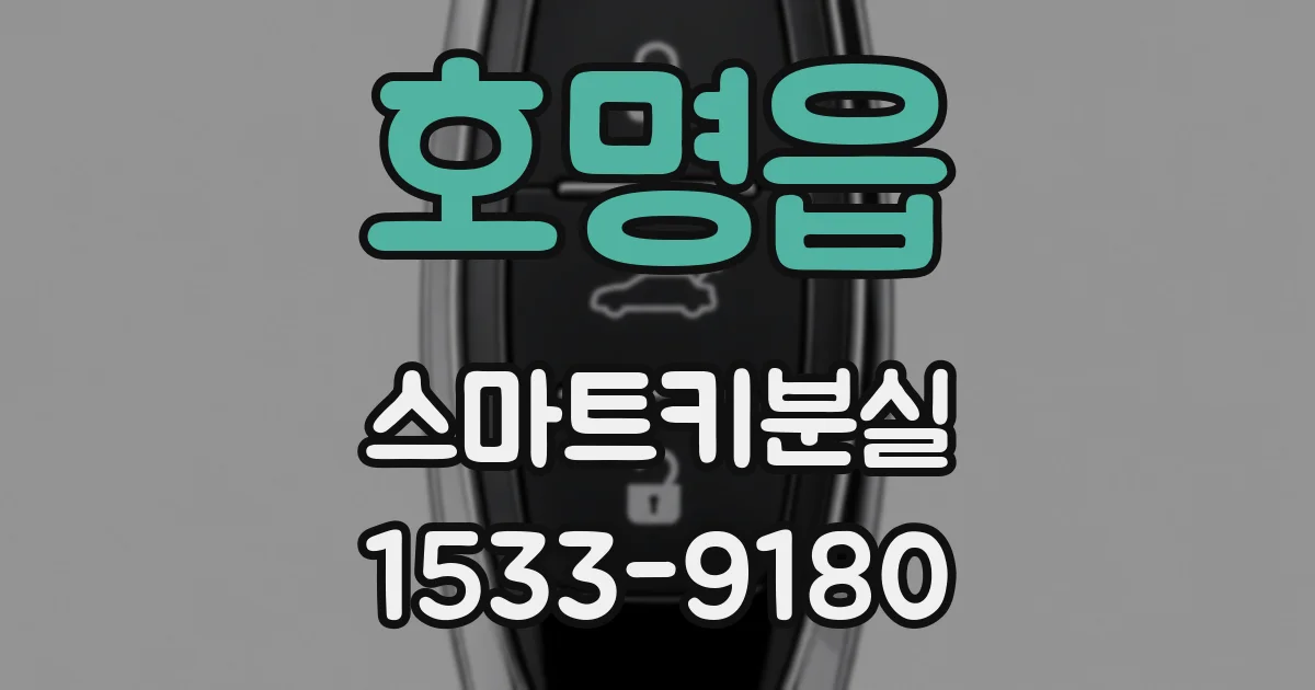호명읍 스마트키분실