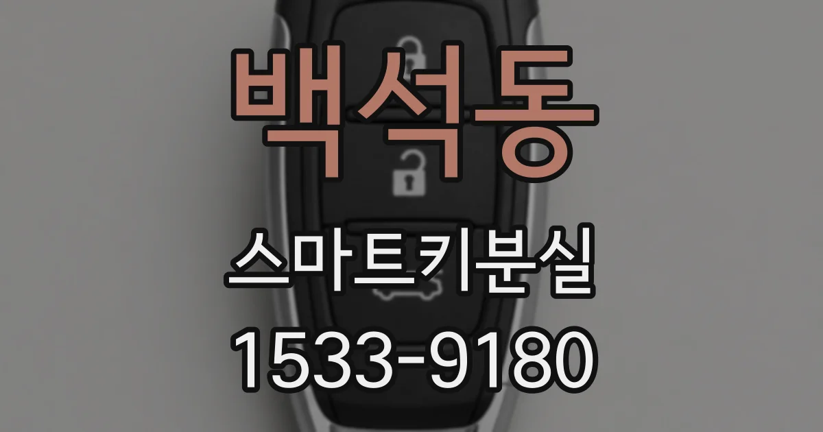 백석동 스마트키분실