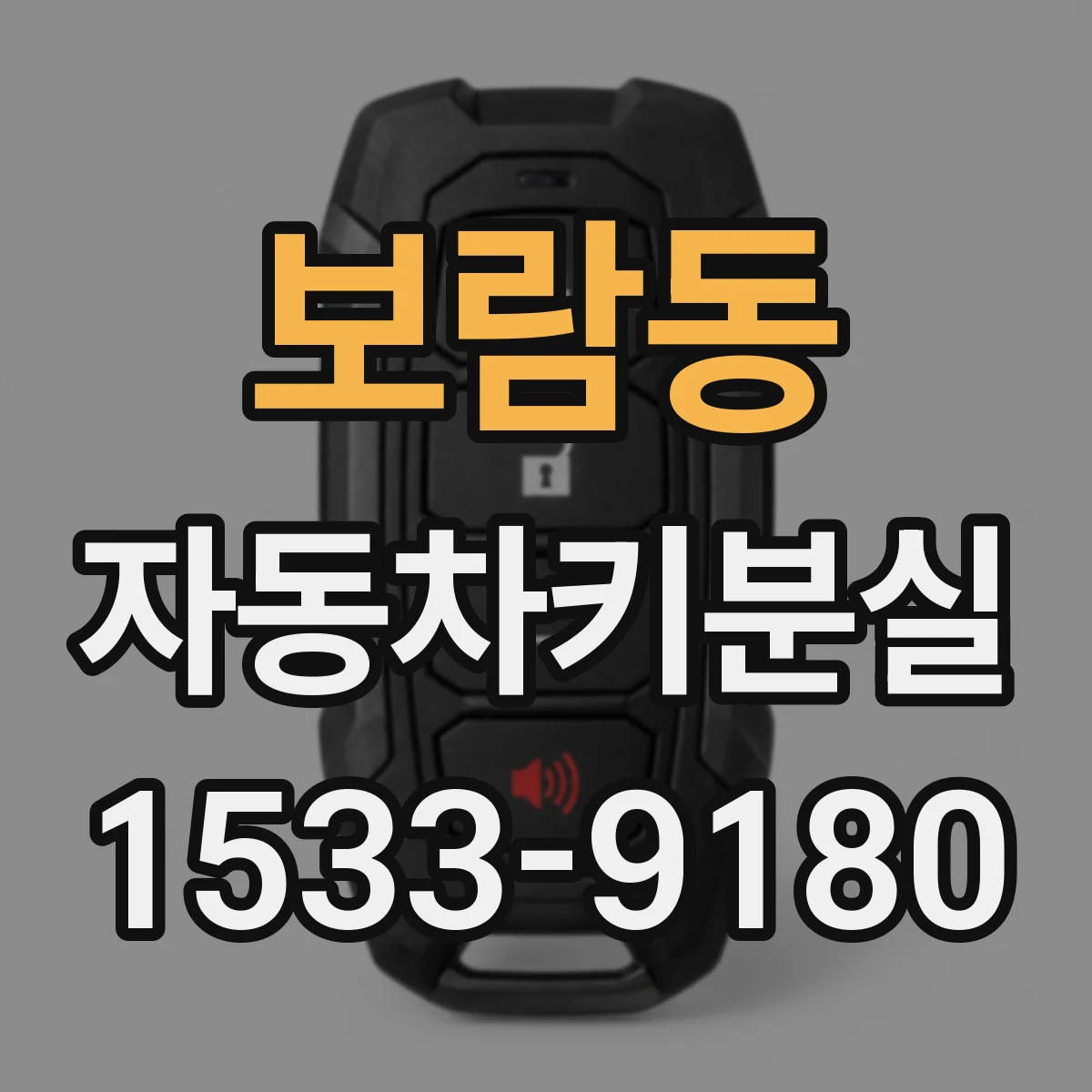 보람동 자동차키분실