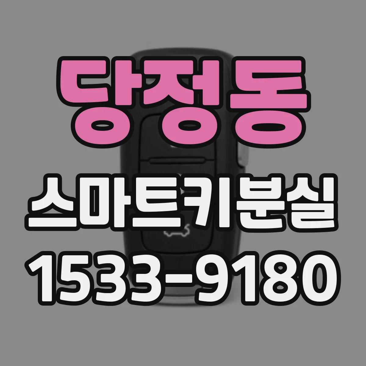 당정동 스마트키분실