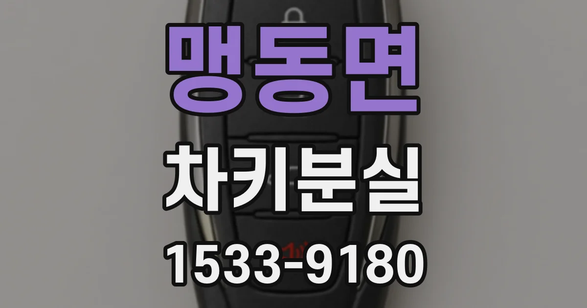 맹동면 차키분실