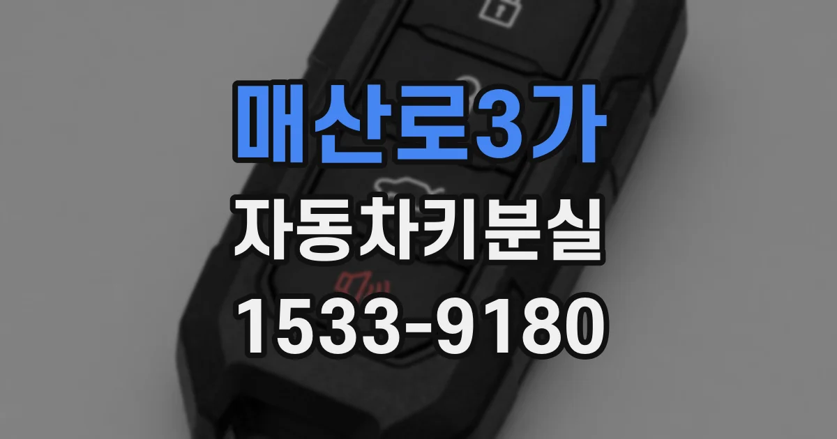 매산로3가 자동차키분실
