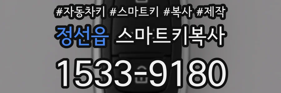 정선읍 스마트키복사
