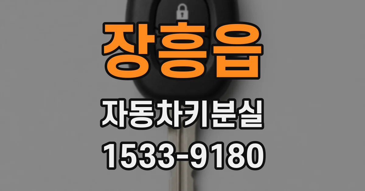 장흥읍 자동차키분실