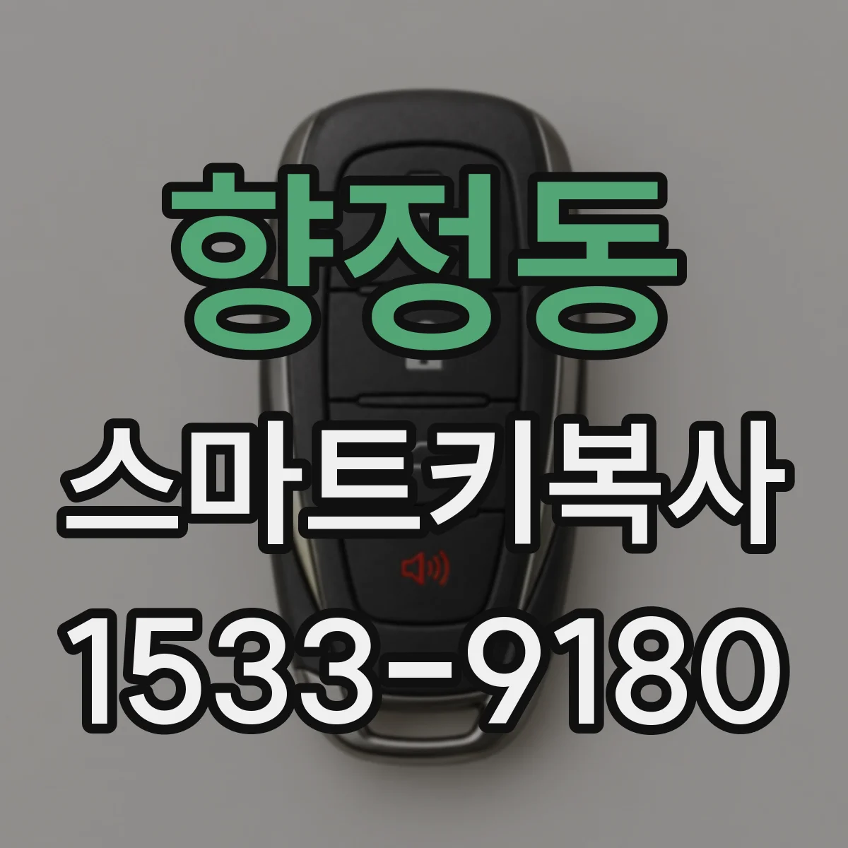 향정동 스마트키복사