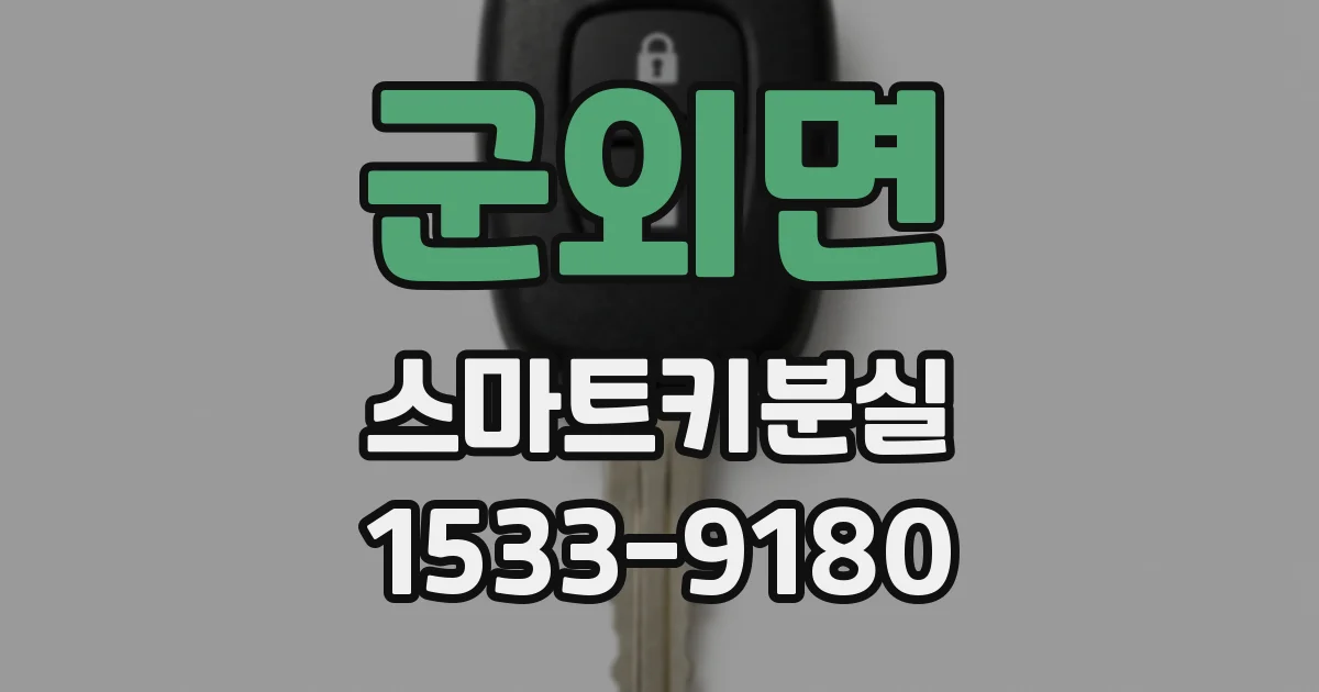 군외면 스마트키분실