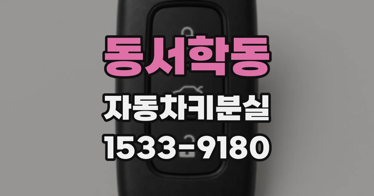 동서학동 자동차키분실