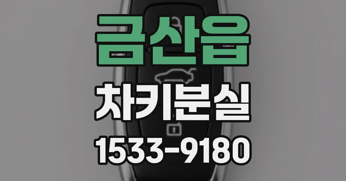금산읍 차키분실
