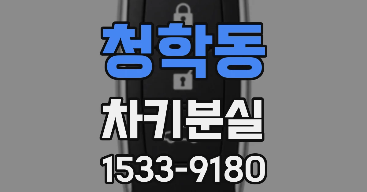 청학동 차키분실