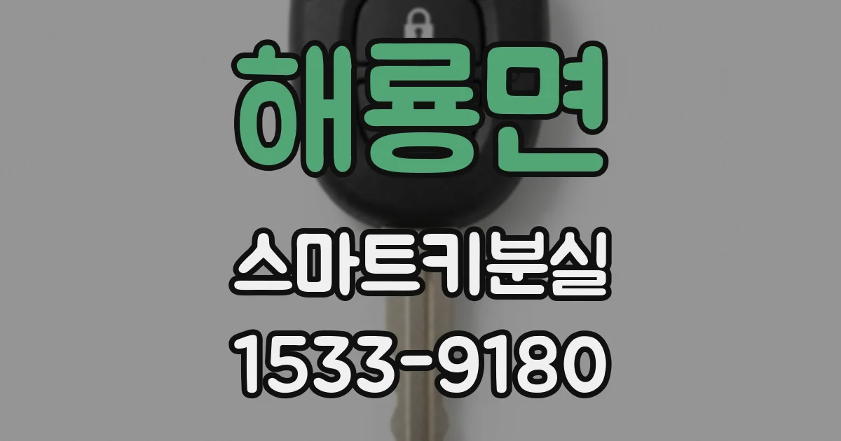 해룡면 스마트키분실