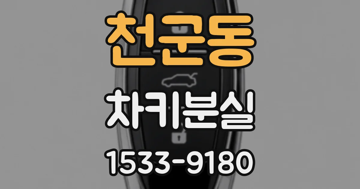 천군동 차키분실