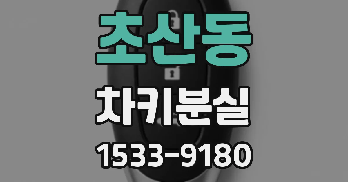 초산동 차키분실