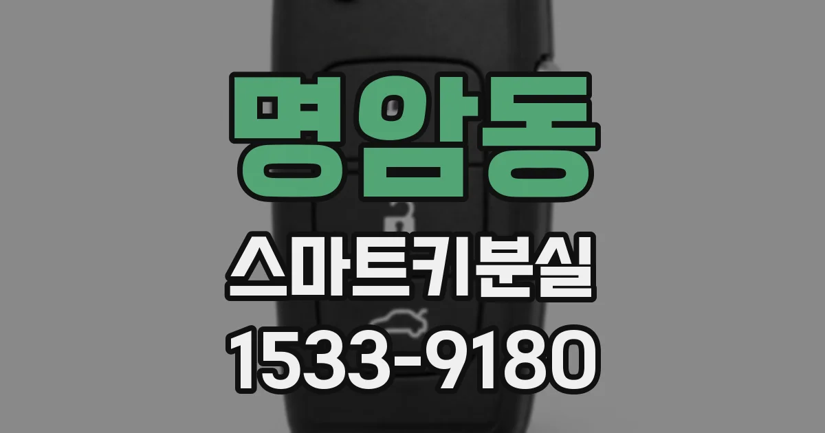 명암동 스마트키분실