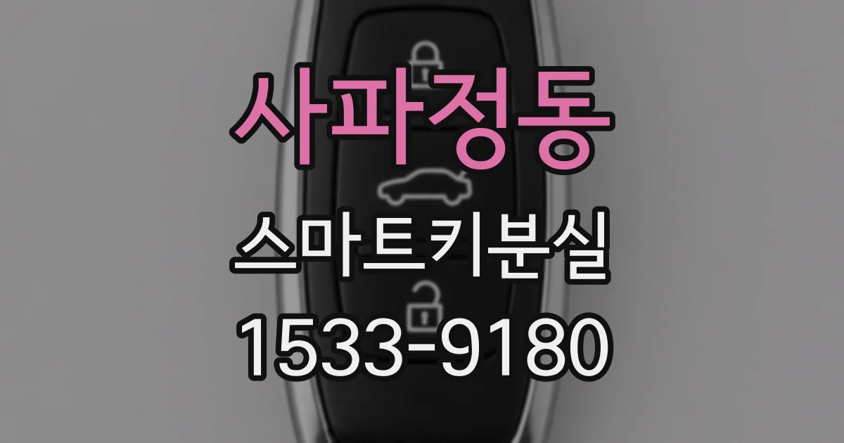 사파정동 스마트키분실