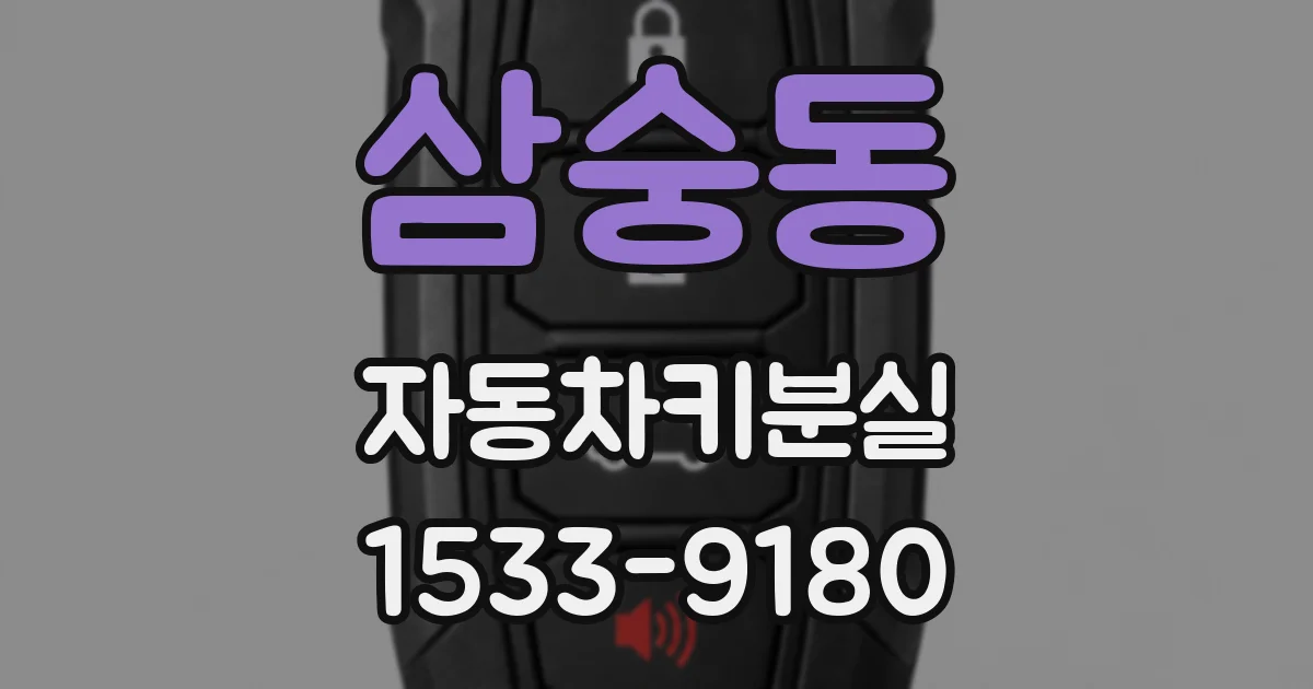 삼숭동 자동차키분실