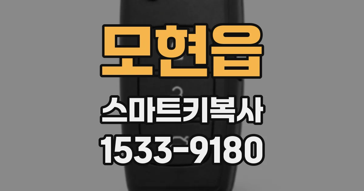 모현읍 스마트키복사