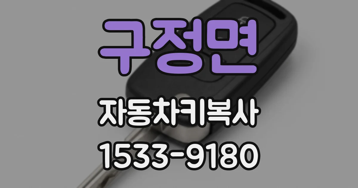 구정면 자동차키복사