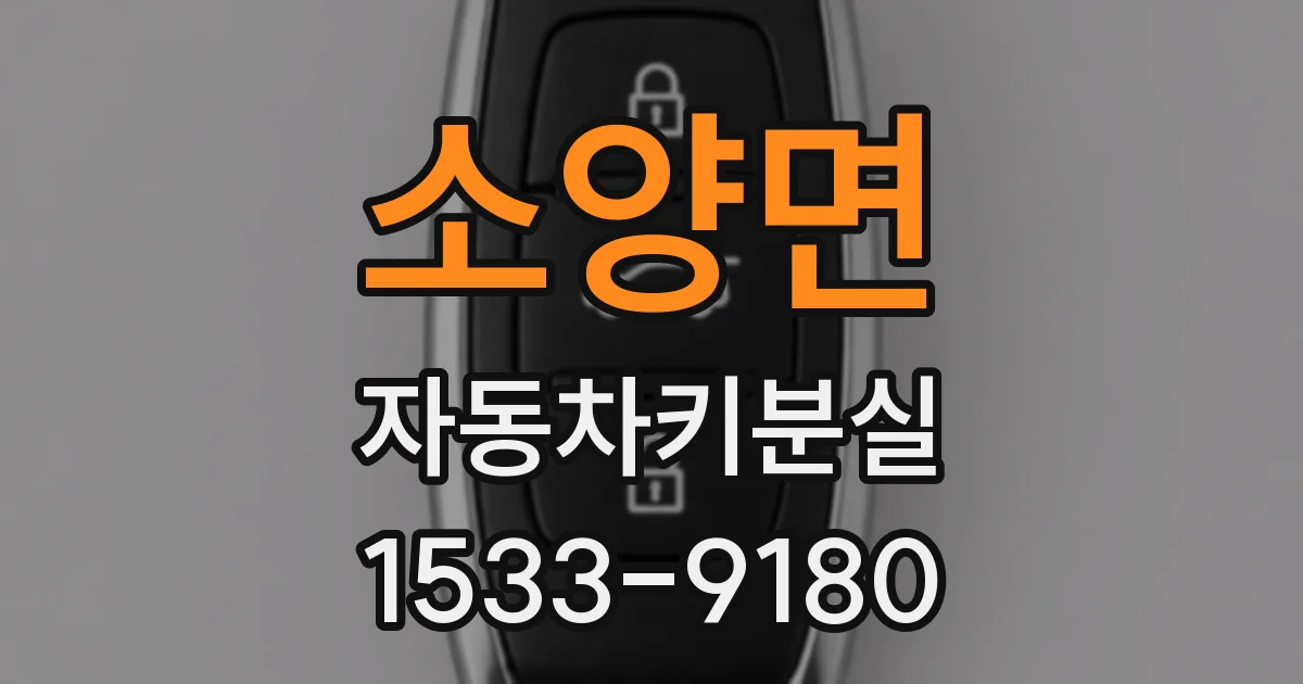 소양면 자동차키분실