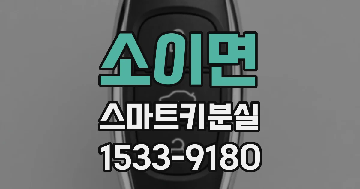 소이면 스마트키분실