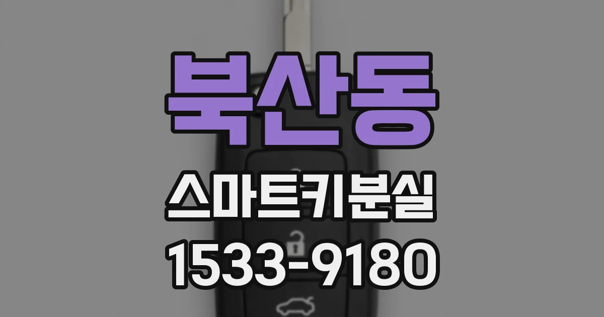 북산동 스마트키분실