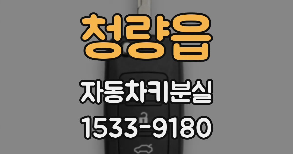 청량읍 자동차키분실