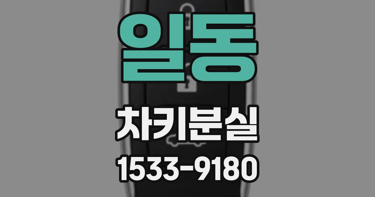 일동 차키분실