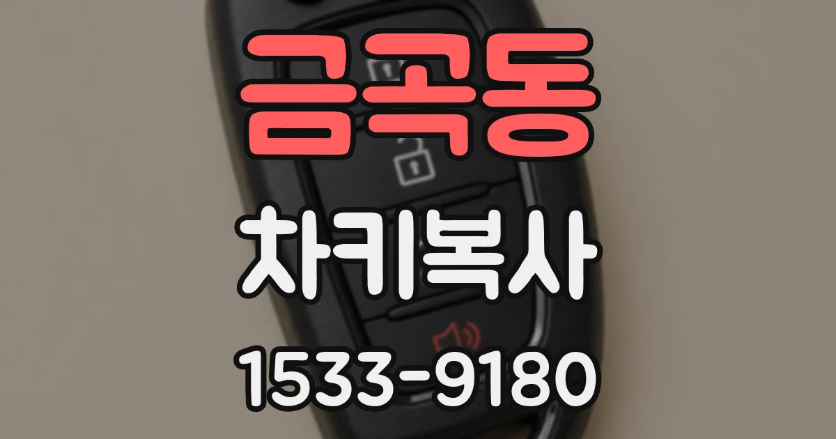금곡동 차키복사