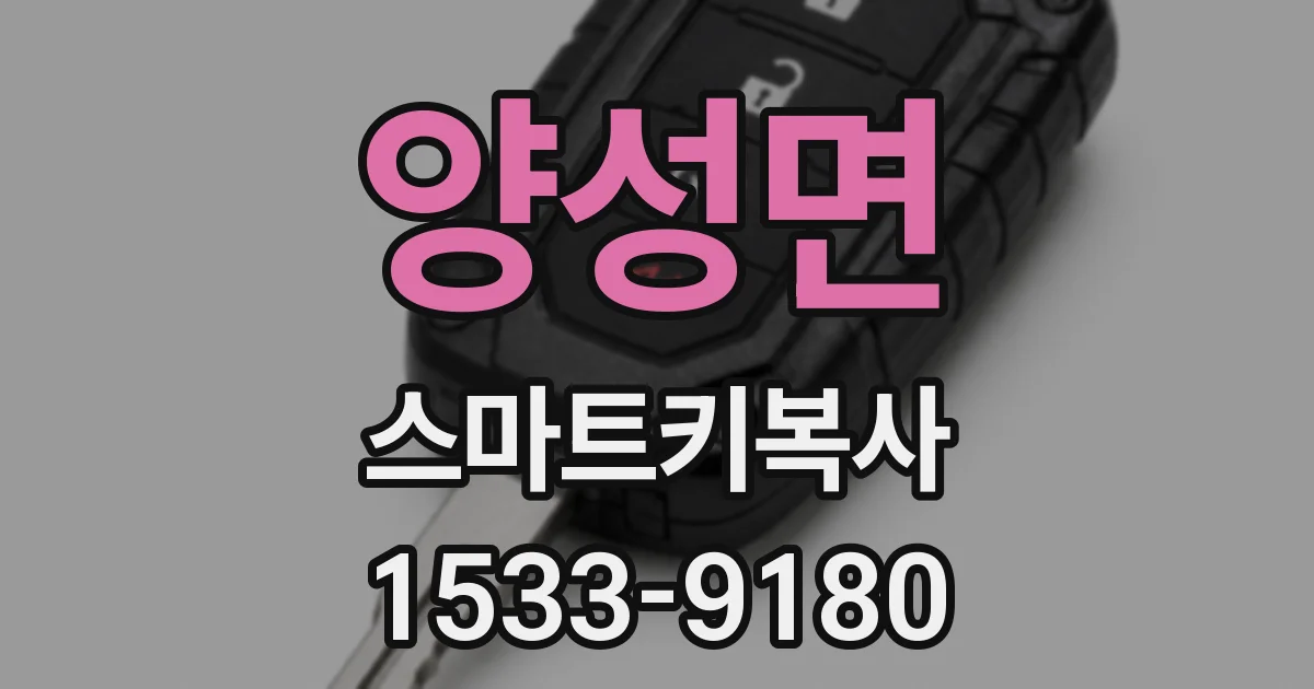 양성면 스마트키복사