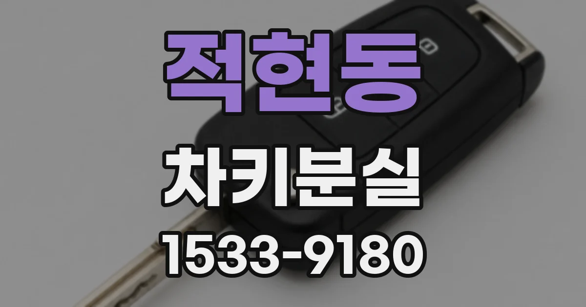 적현동 차키분실