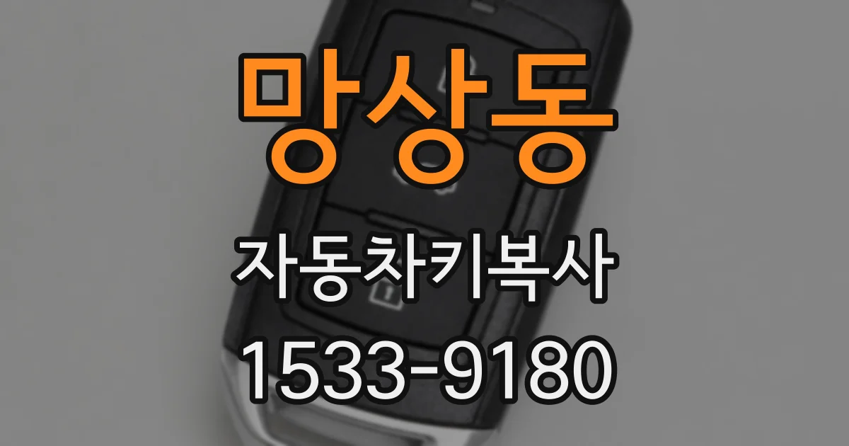 망상동 자동차키복사