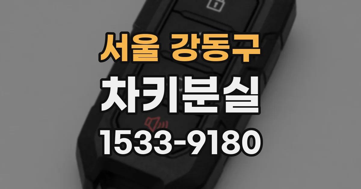 서울 강동구 차키분실
