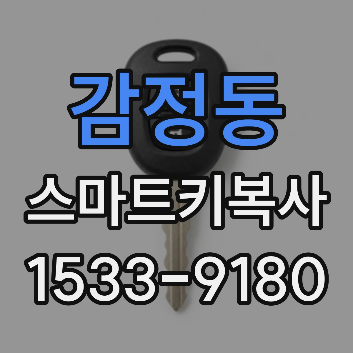 감정동 스마트키복사