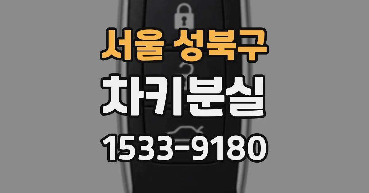 서울 성북구 차키분실