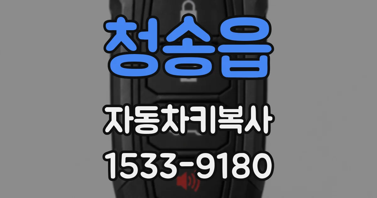청송읍 자동차키복사