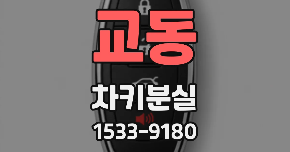 교동 차키분실