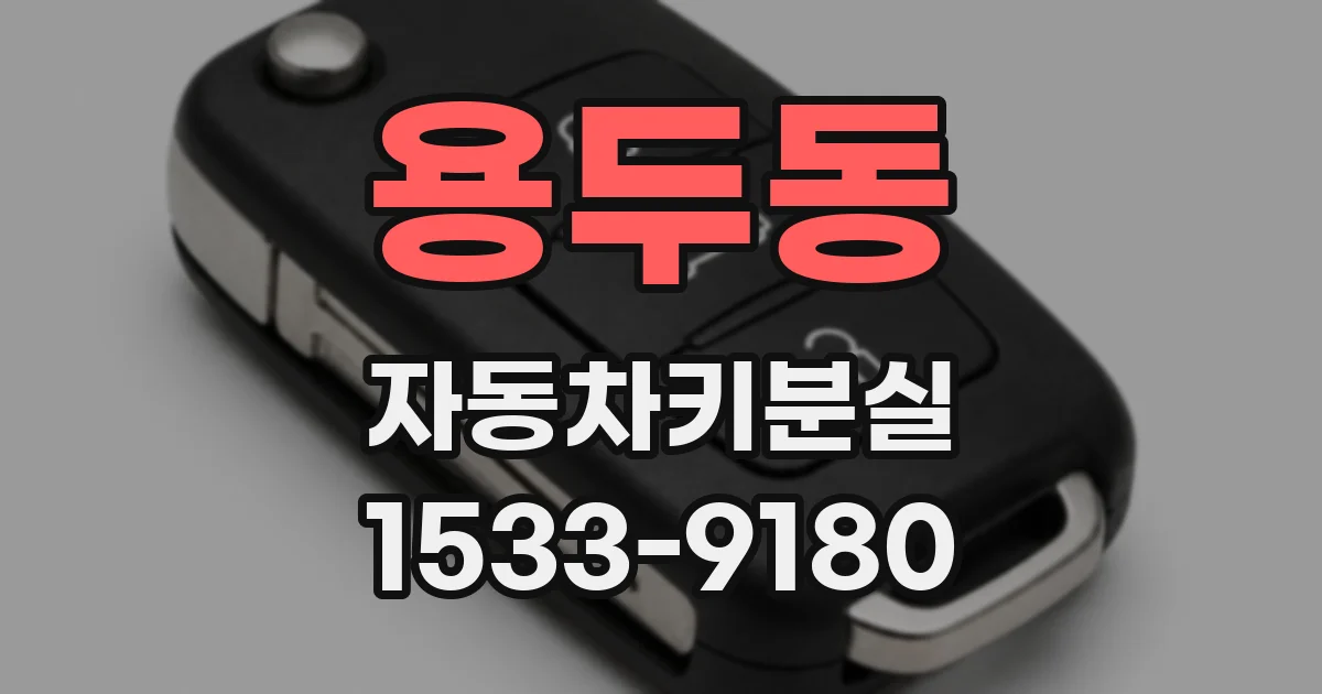 용두동 자동차키분실