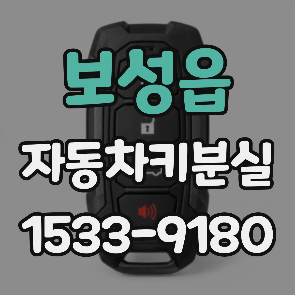 보성읍 자동차키분실