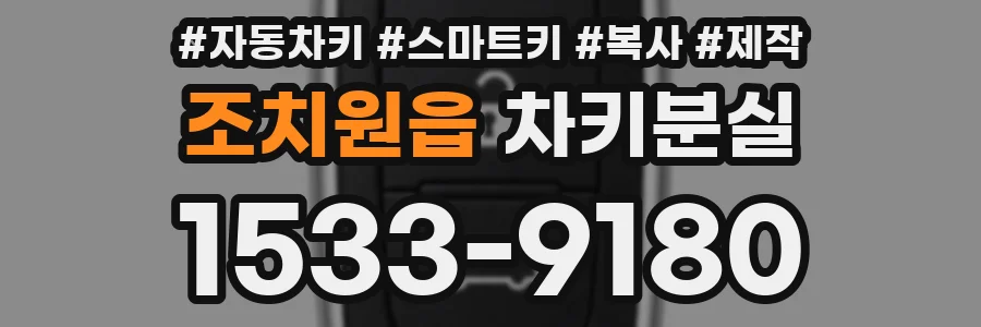조치원읍 차키분실
