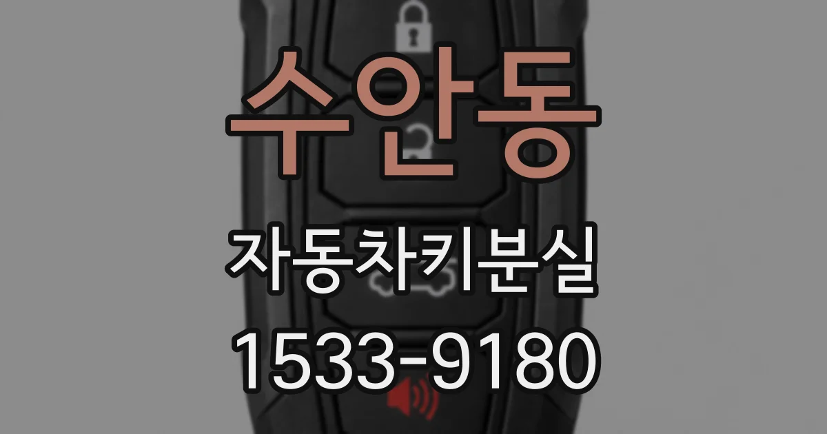 수안동 자동차키분실