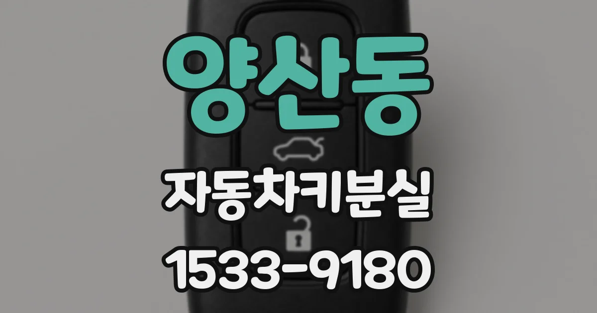 양산동 자동차키분실